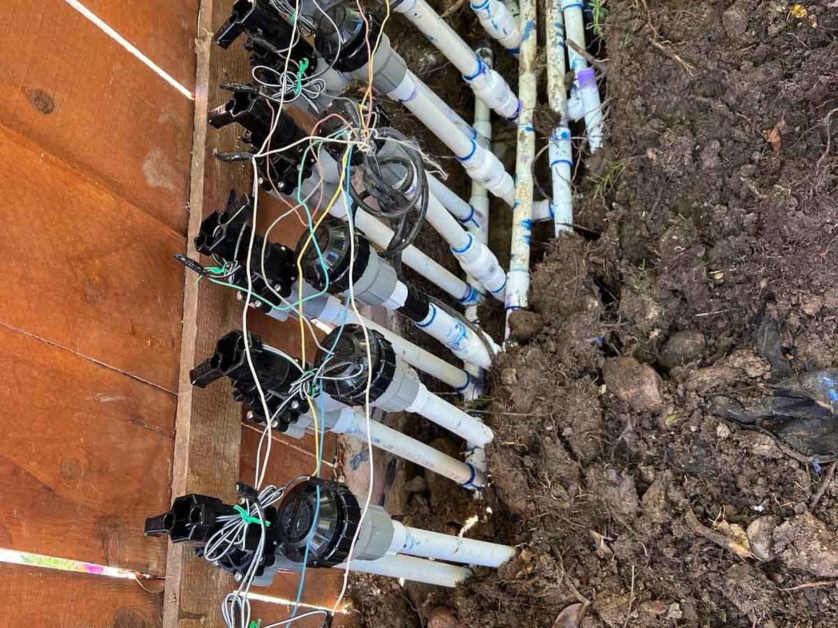 Quetzalito Tree Service